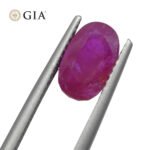2.38ct Oval Purplish Red Ruby GIA Certified Tajikistan Unheated - Image 2