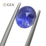 2.70ct Oval Vivid Blue Sapphire GIA Certified Sri Lanka Unheated - Image 5