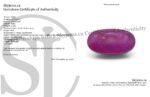 2.7ct Oval Red Ruby from Vietnam - Image 15
